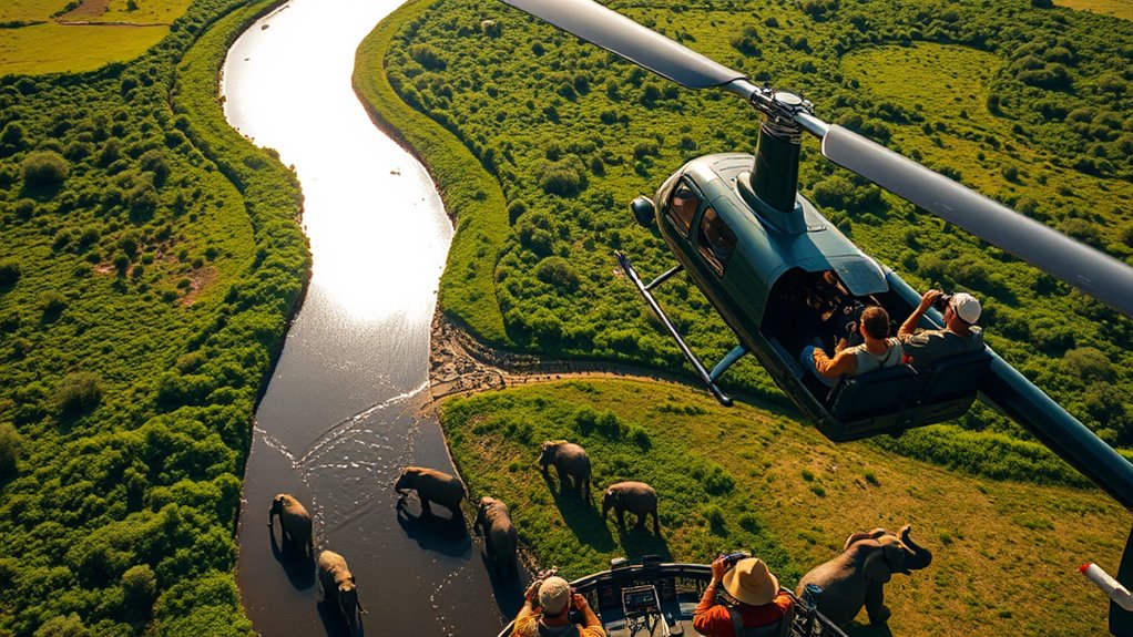 aviation s impact on wildlife